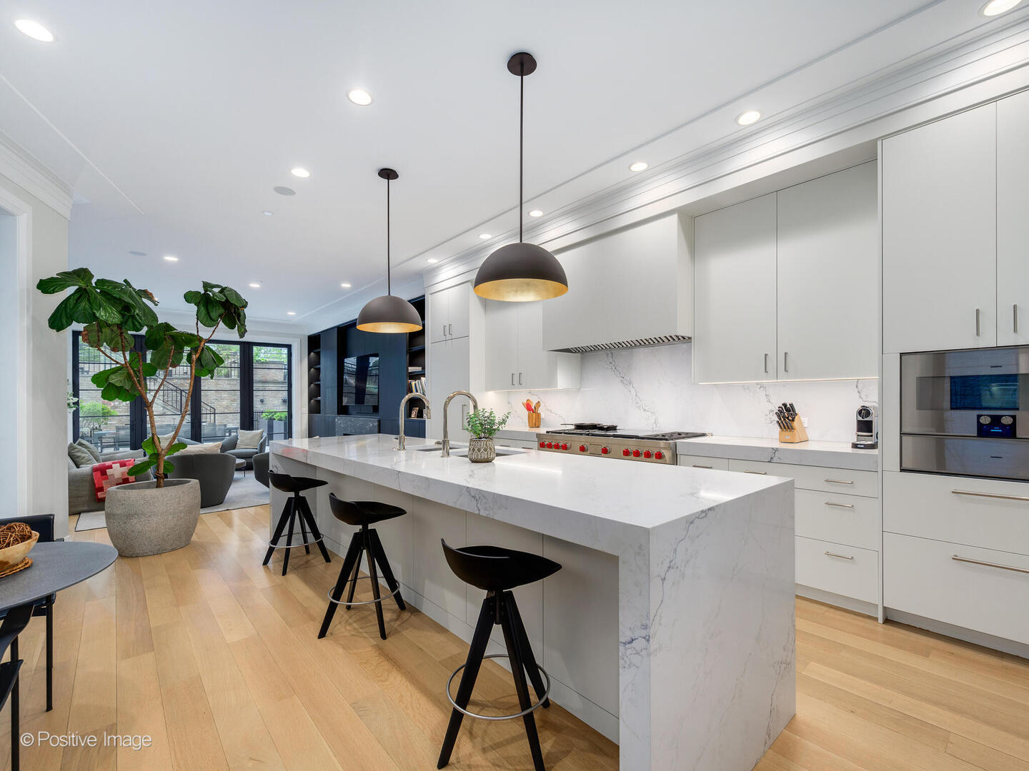 1438 North Dearborn Street Chicago, IL 60610 - Photo 3 of 10