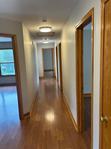 wooden floor in a gallery