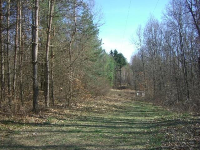2 6 6 Mile Road Battle Creek, MI 49017 - Photo 1 of 10