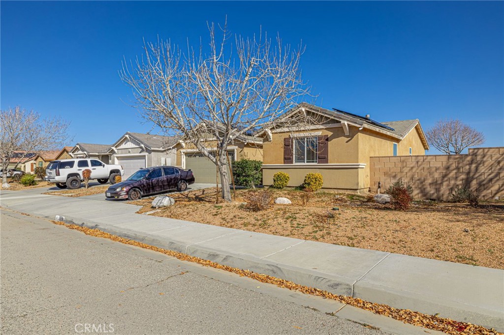 43128 Homestead Street Lancaster, CA 93535 - Photo 13 of 33 a front view of a house with a yard