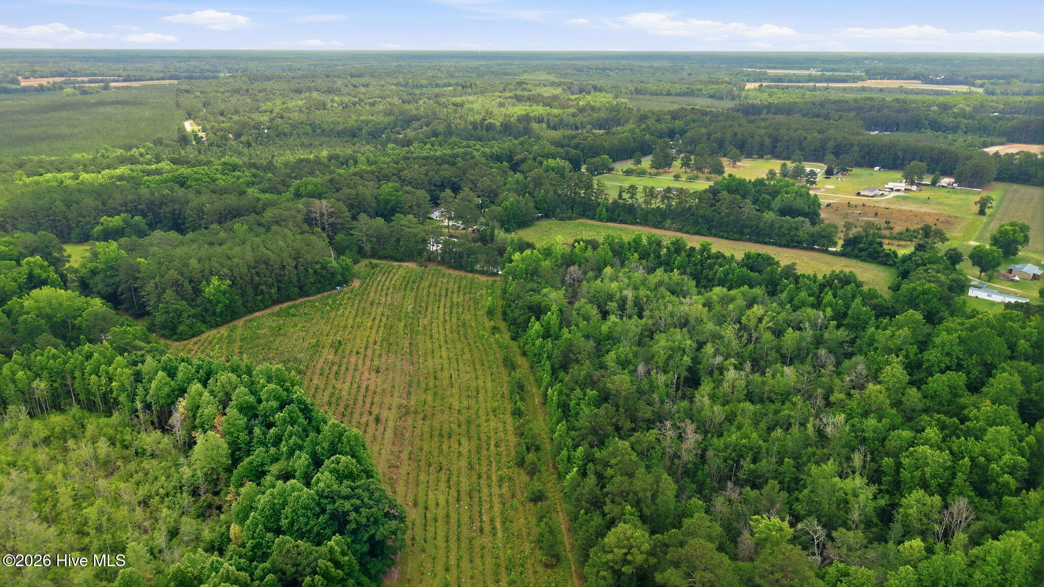 17060 St Johns Church Road Laurel Hill, NC 28351 - Photo 54 of 62