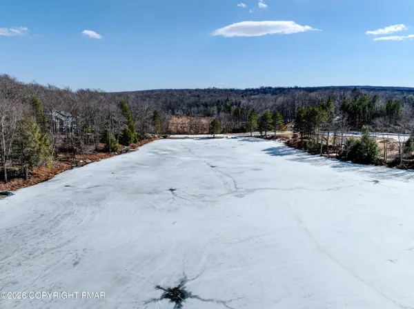 a view of a dry yard