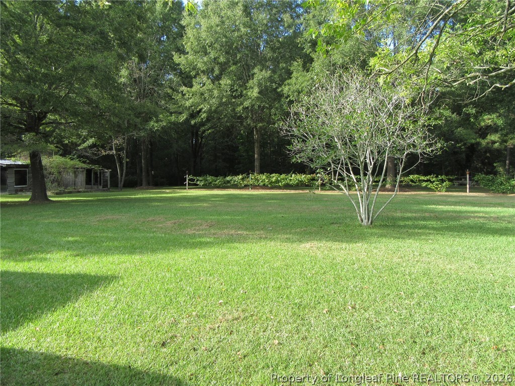 3755 Linden Road Linden, NC 28356 - Photo 4 of 14 Large Lot