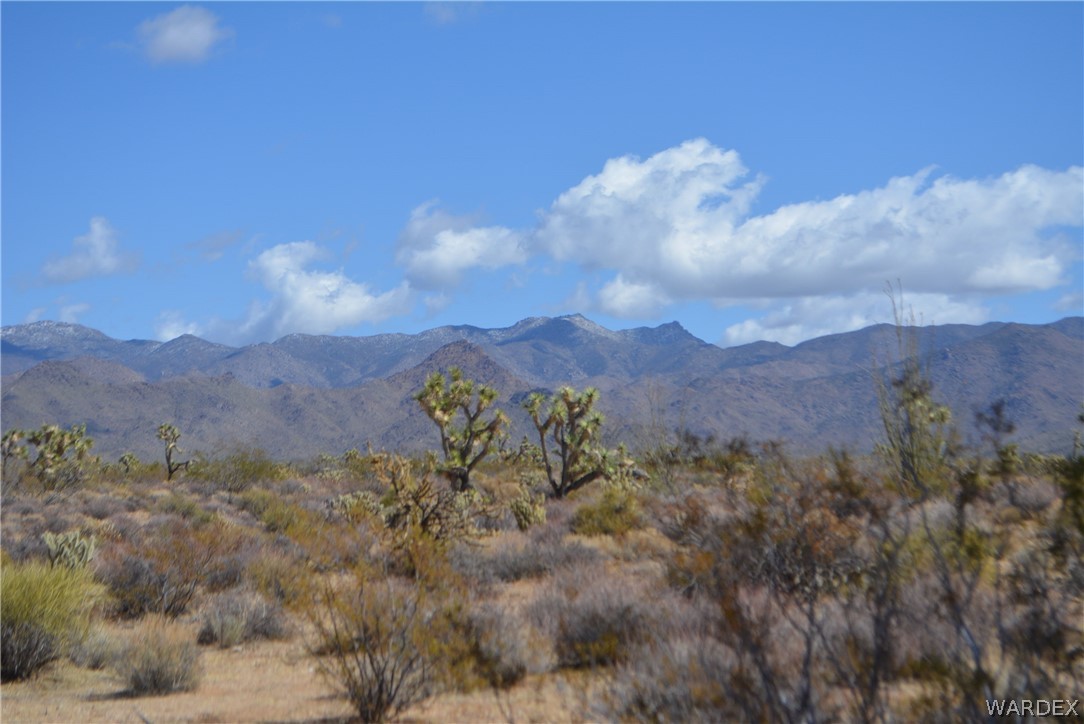 1039 Cowboy Road Yucca, AZ 86438 - Photo 14 of 50 Gallery Image 14