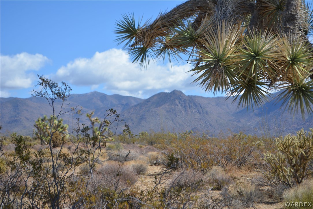 1039 Cowboy Road Yucca, AZ 86438 - Photo 16 of 50 Gallery Image 16