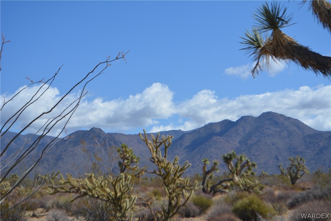 1039 Cowboy Road Yucca, AZ 86438 - Photo 18 of 50 Gallery Image 18