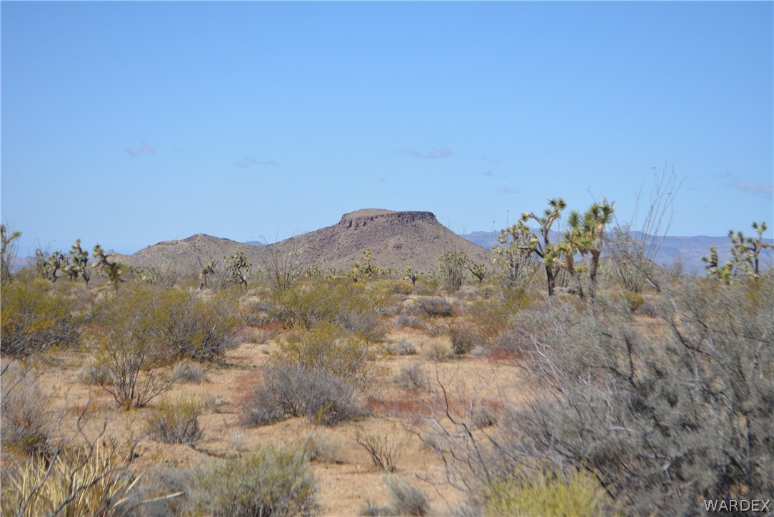 1039 Cowboy Road Yucca, AZ 86438 - Photo 28 of 50 Gallery Image 28