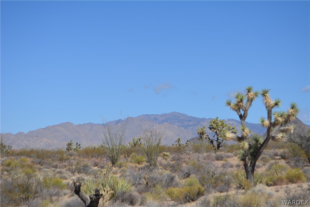 1039 Cowboy Road Yucca, AZ 86438 - Photo 29 of 50 Gallery Image 29