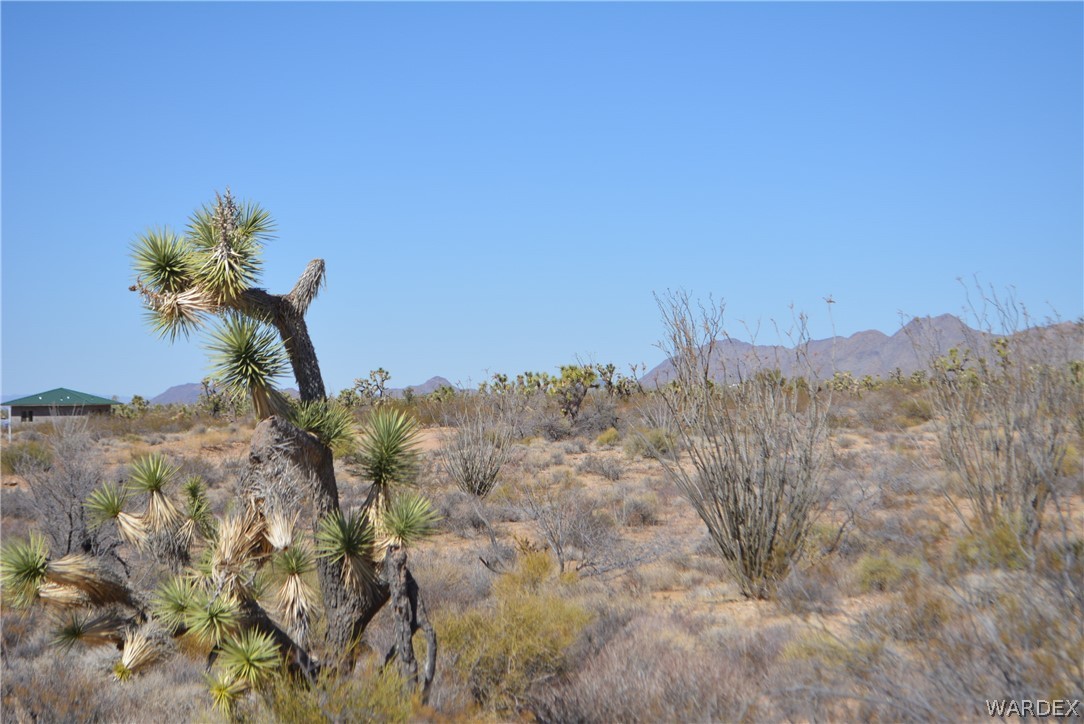 1039 Cowboy Road Yucca, AZ 86438 - Photo 31 of 50 Gallery Image 31