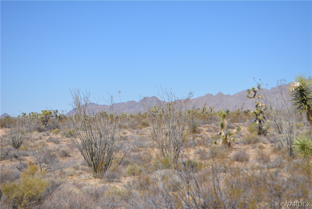 1039 Cowboy Road Yucca, AZ 86438 - Photo 32 of 50 Gallery Image 32