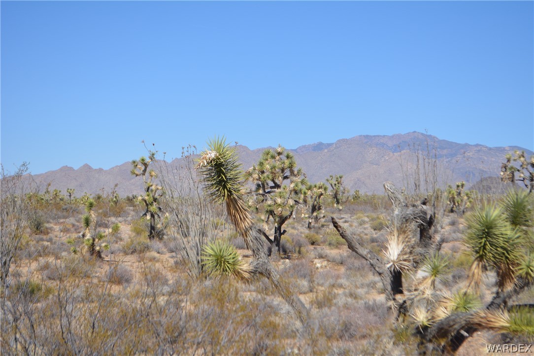 1039 Cowboy Road Yucca, AZ 86438 - Photo 33 of 50 Gallery Image 33