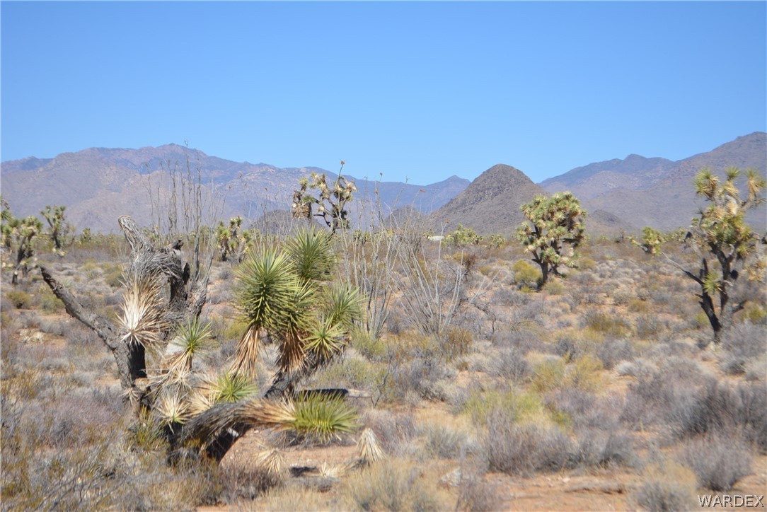 1039 Cowboy Road Yucca, AZ 86438 - Photo 34 of 50 Gallery Image 34