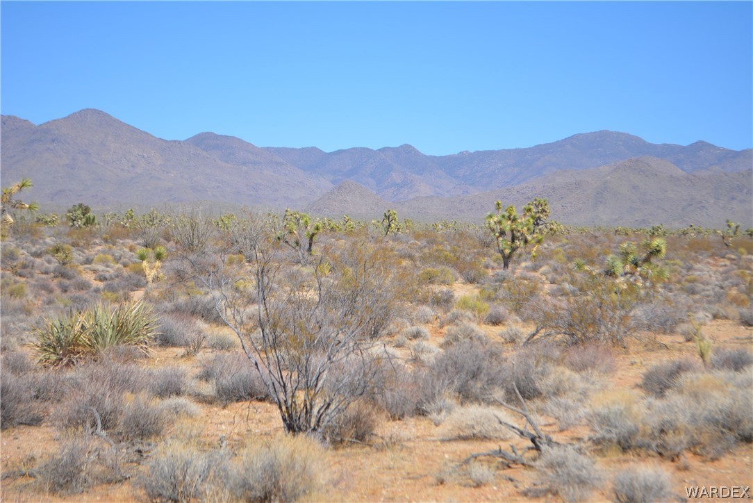 1039 Cowboy Road Yucca, AZ 86438 - Photo 36 of 50 Gallery Image 36