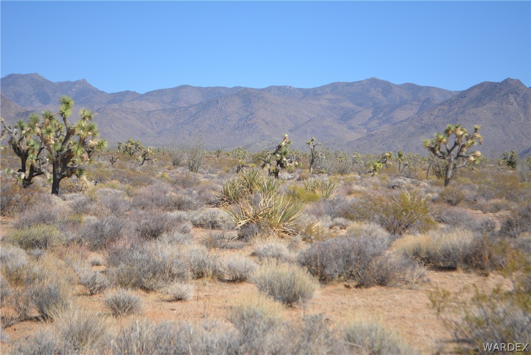 1039 Cowboy Road Yucca, AZ 86438 - Photo 39 of 50 Gallery Image 39