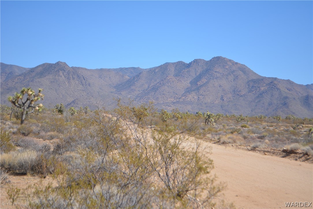 1039 Cowboy Road Yucca, AZ 86438 - Photo 41 of 50 Gallery Image 41