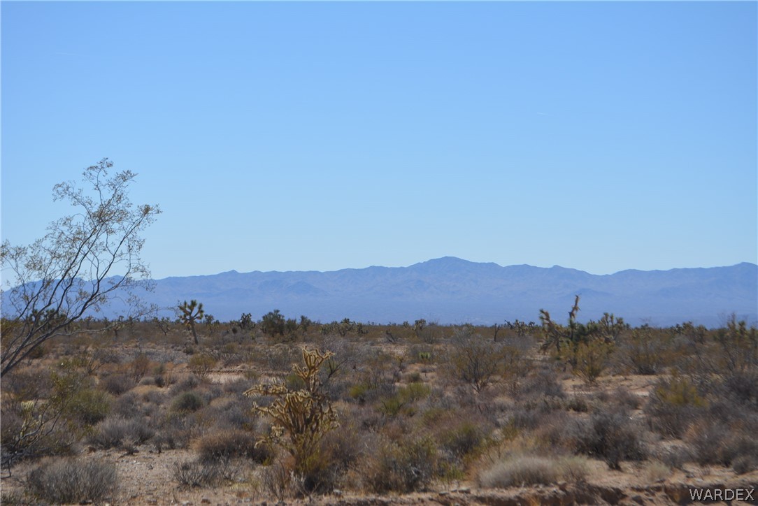 1039 Cowboy Road Yucca, AZ 86438 - Photo 47 of 50 Gallery Image 47