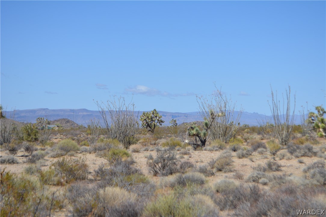Gallery Image 5