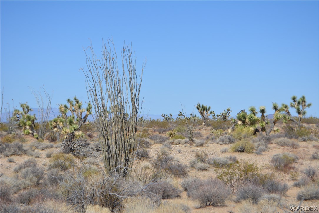 Gallery Image 6
