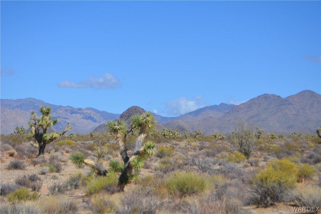 1039 Cowboy Road Yucca, AZ 86438 - Photo 10 of 50 Gallery Image 10