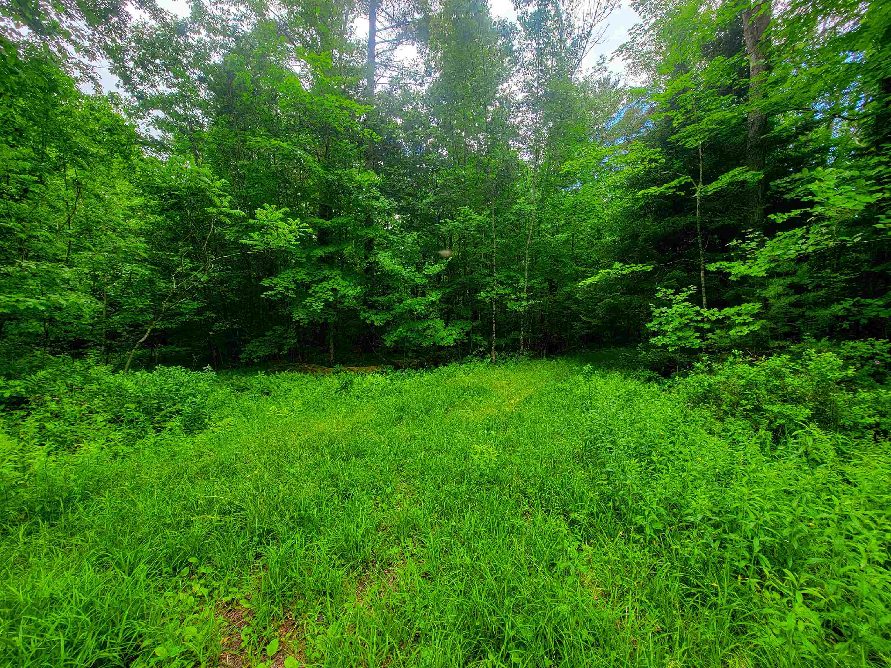 195 Turkey Hill Road Newport, NH 03773 - Photo 10 of 38 Gallery Image 10