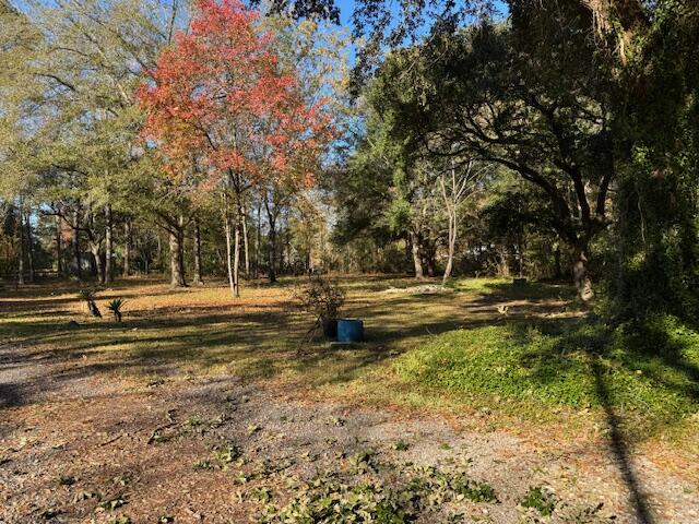242 Bluebird Lane Moncks Corner, SC 29461 - Photo 10 of 12 IMG_4861