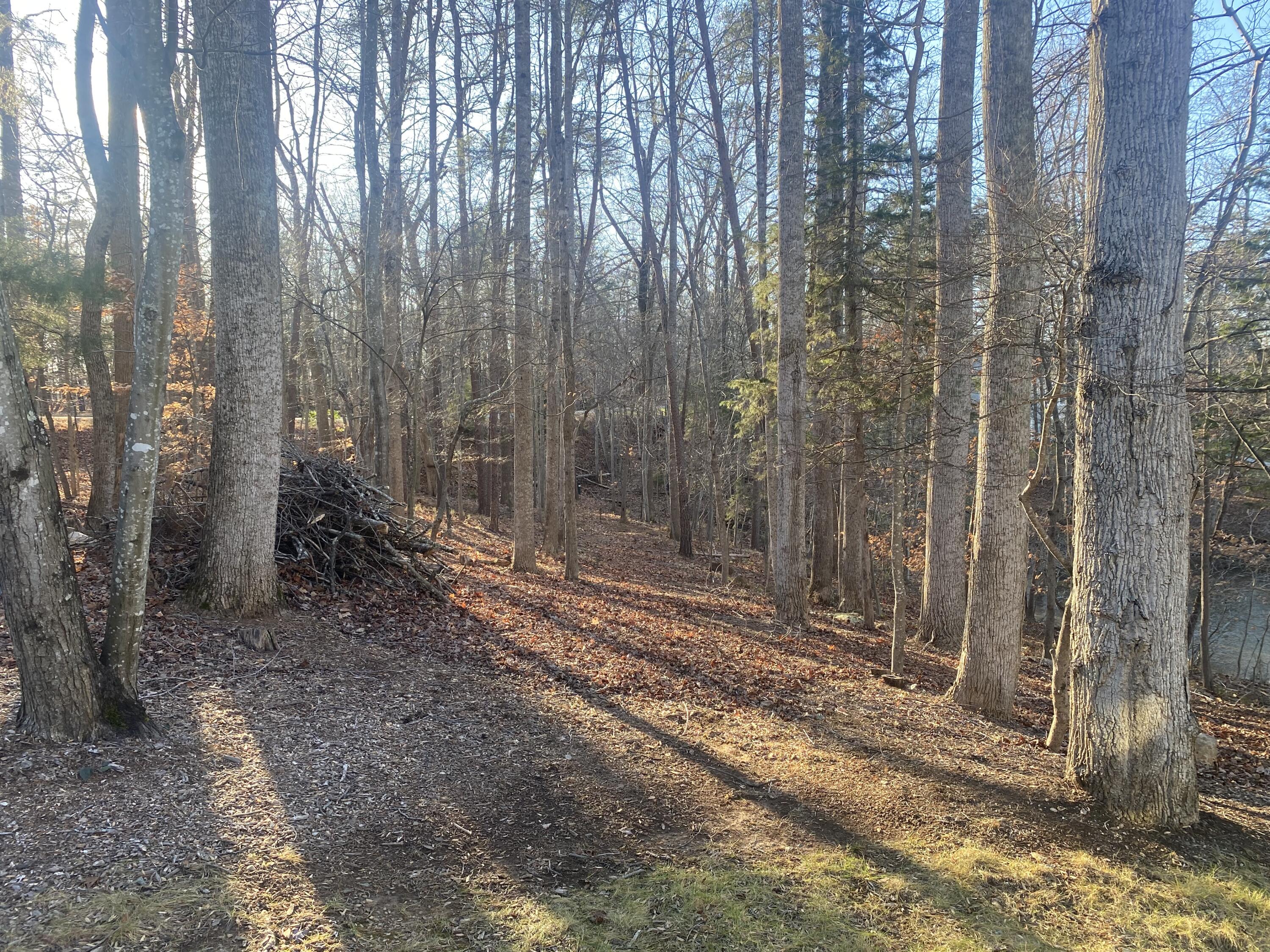 581 Lakestone Road Union Hall, VA 24176 - Photo 63 of 66 Lot 5
