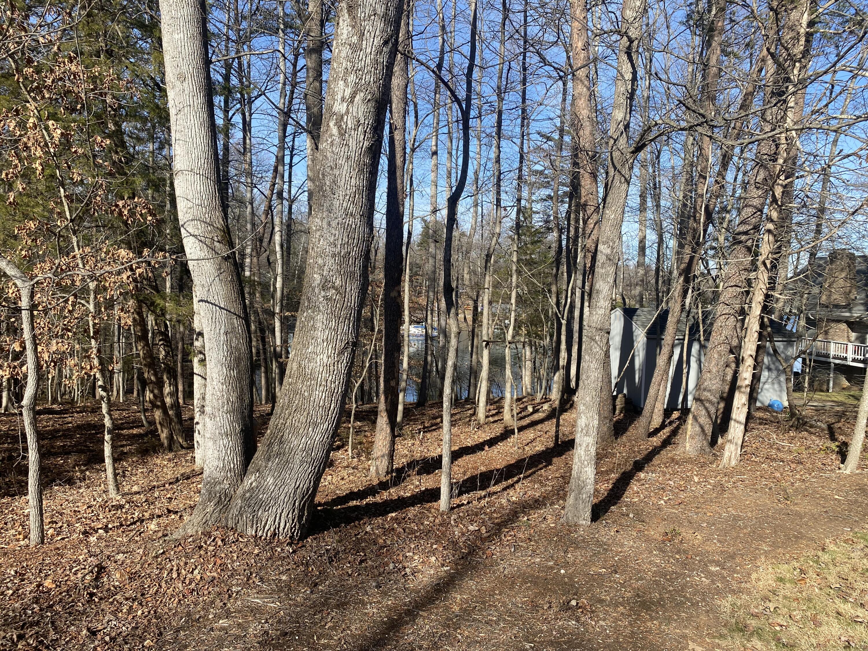581 Lakestone Road Union Hall, VA 24176 - Photo 65 of 66 Lot 5