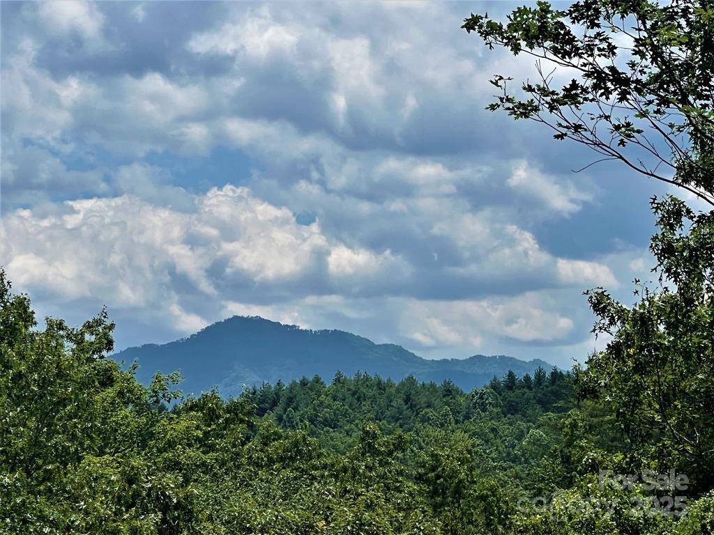 59 Musket Road, Unit 59 Bryson City, NC 28713 - Photo 1 of 2