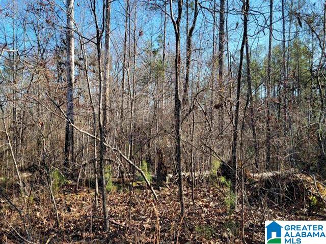 Anchor Ridge, Unit 18 Wedowee, AL 36278 - Photo 1 of 1 Gallery Image 1
