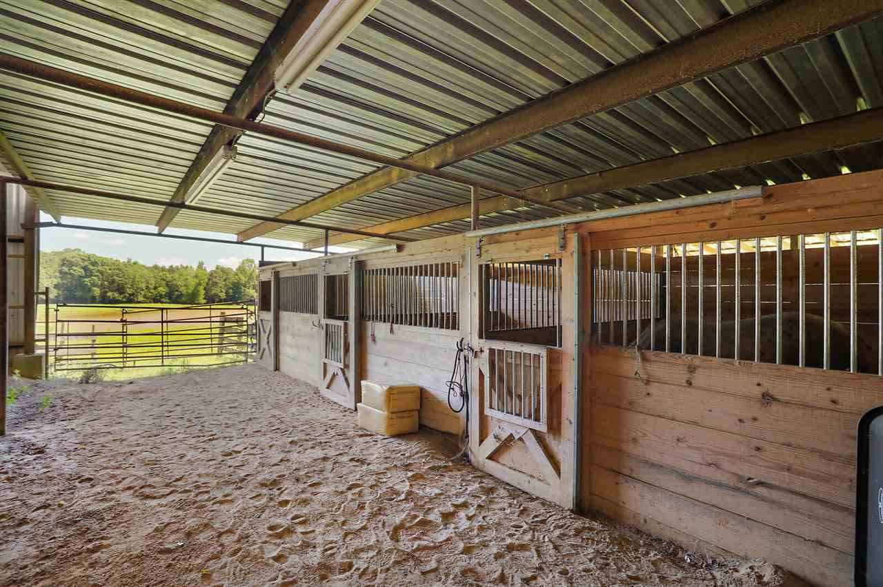 1680 Union Ridge Road Noxapater, MS 39346 - Photo 12 of 50 Photo 12
