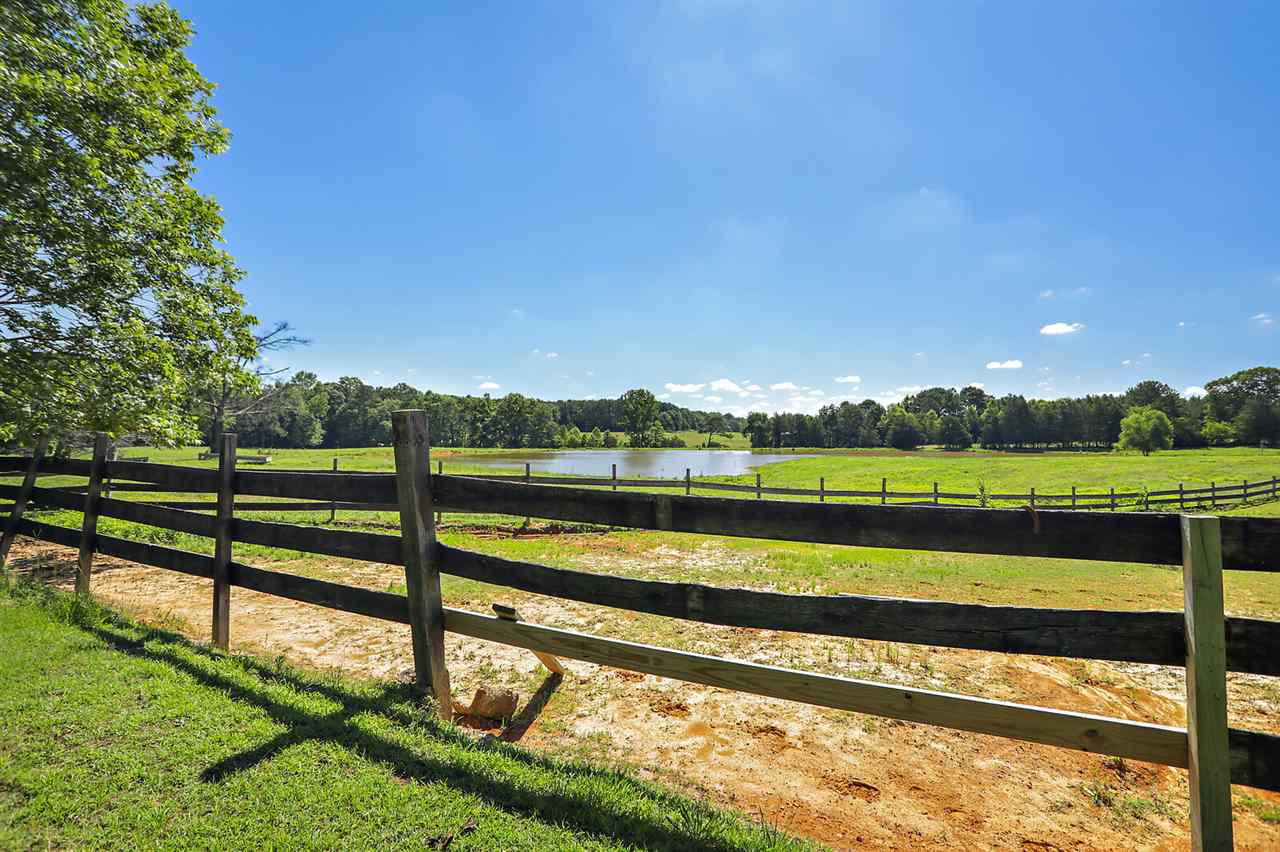 1680 Union Ridge Road Noxapater, MS 39346 - Photo 8 of 50 Photo 8