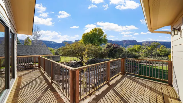 a view of a yard with plants and trees