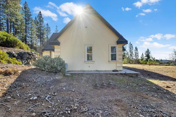 a view of a garden with a tree