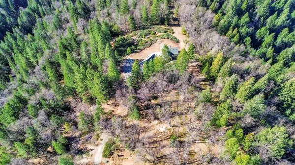a view of a house with a tree
