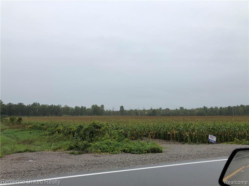 0 Long Rapids Road Lachine, MI 49753 - Photo 3 of 13