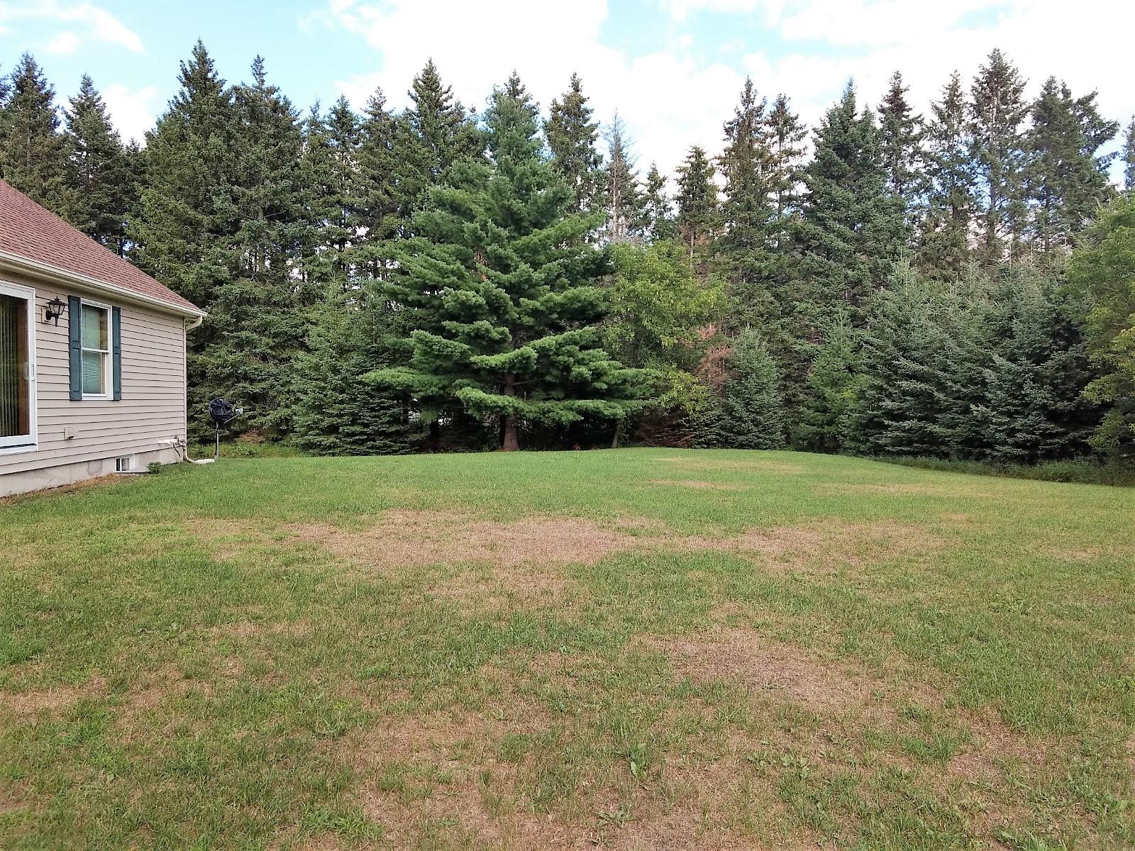 10329 Baker Road Atlanta, MI 49709 - Photo 41 of 43 Gallery Image 41