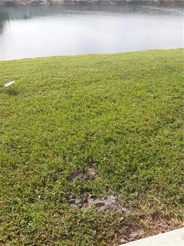 a view of a field with an ocean in the background