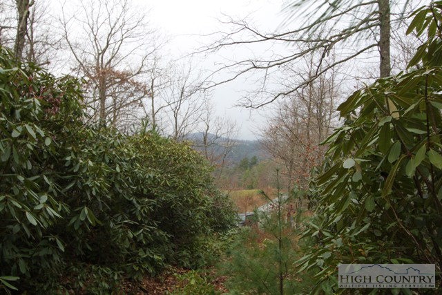 Virgil Day Road Boone, NC 28607 - Photo 1 of 9 Gallery Image 1