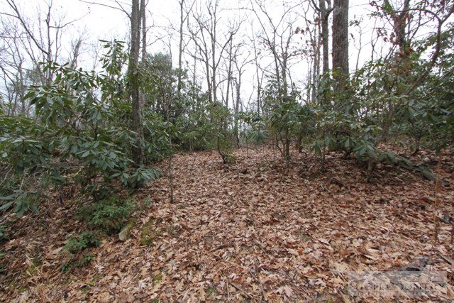 Virgil Day Road Boone, NC 28607 - Photo 3 of 9 Gallery Image 3