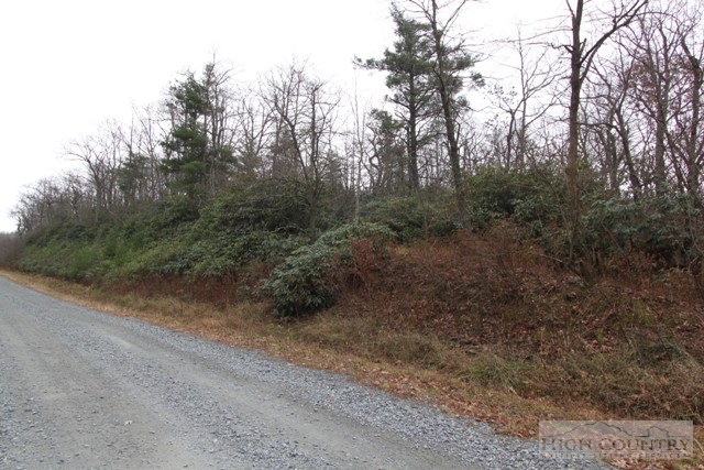Virgil Day Road Boone, NC 28607 - Photo 7 of 9 Gallery Image 7