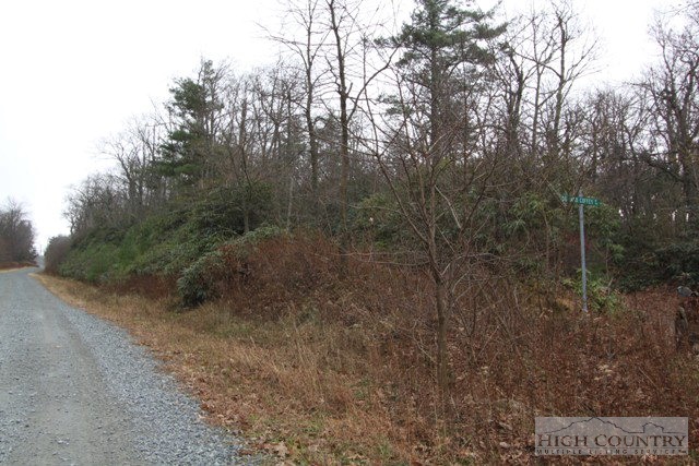 Virgil Day Road Boone, NC 28607 - Photo 8 of 9 Gallery Image 8
