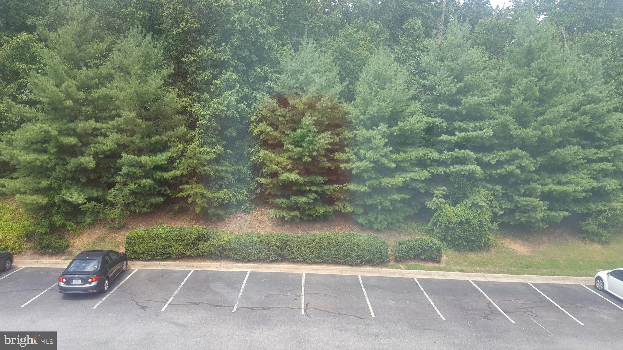 1049 Gardenview Loop, Unit 401 Woodbridge, VA 22191 - Photo 16 of 18 View from balcony