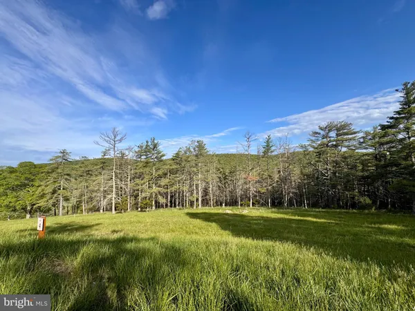 a view of a huge green field with lots of green space