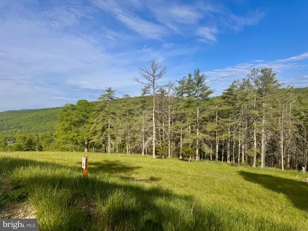a view of a big yard with a garden