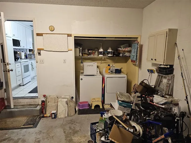 a room with furniture and a potted plant