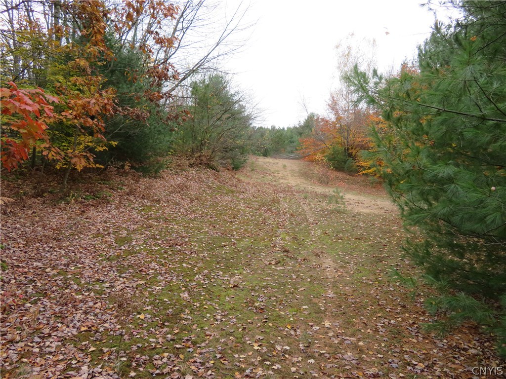 0 Bull Run Road Pulaski, NY 13142 - Photo 5 of 7 Gallery Image 5