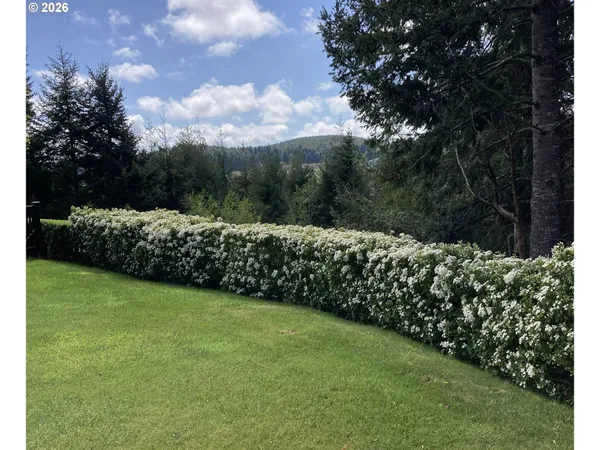 a view of yard with trees