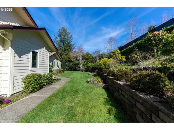 a view of a backyard