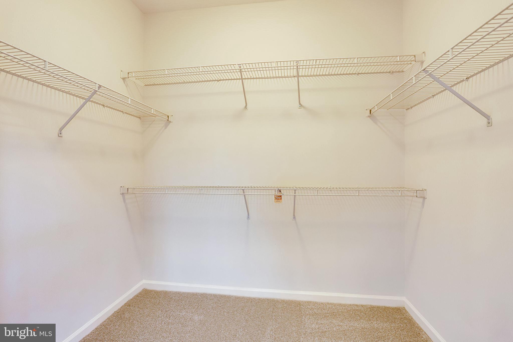 12009 Taliesin Place, Unit 26 Reston, VA 20190 - Photo 12 of 20 Master Walk-/in Closet