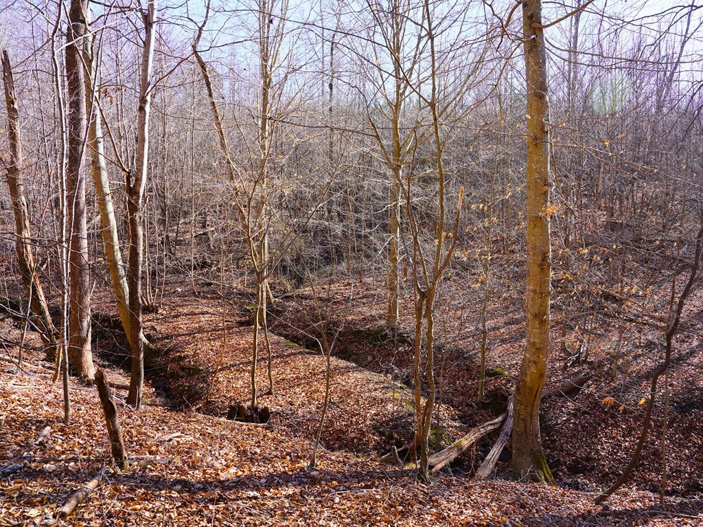 Tbd Windlass Road Moneta, VA 24121 - Photo 10 of 49 Gallery Image 10